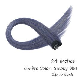 HAIRRO 53 Colored Clip-In One Piece For Ombre Hair Extensions Pure - #24 Smoky blue