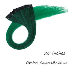 HAIRRO 53 Colored Clip-In One Piece For Ombre Hair Extensions Pure - T1B/4/27 1B-2615